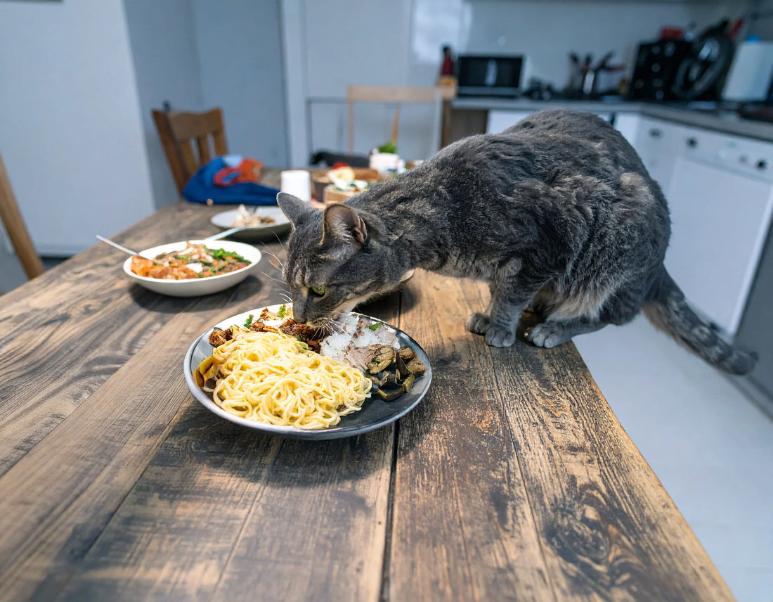 Een nieuwsgierige kat die voorzichtig met zijn poot naar een bord met menselijk voedsel reikt op een houten eettafel, nieuwsgierig en speels, in een warme keuken – Kattenhoek.