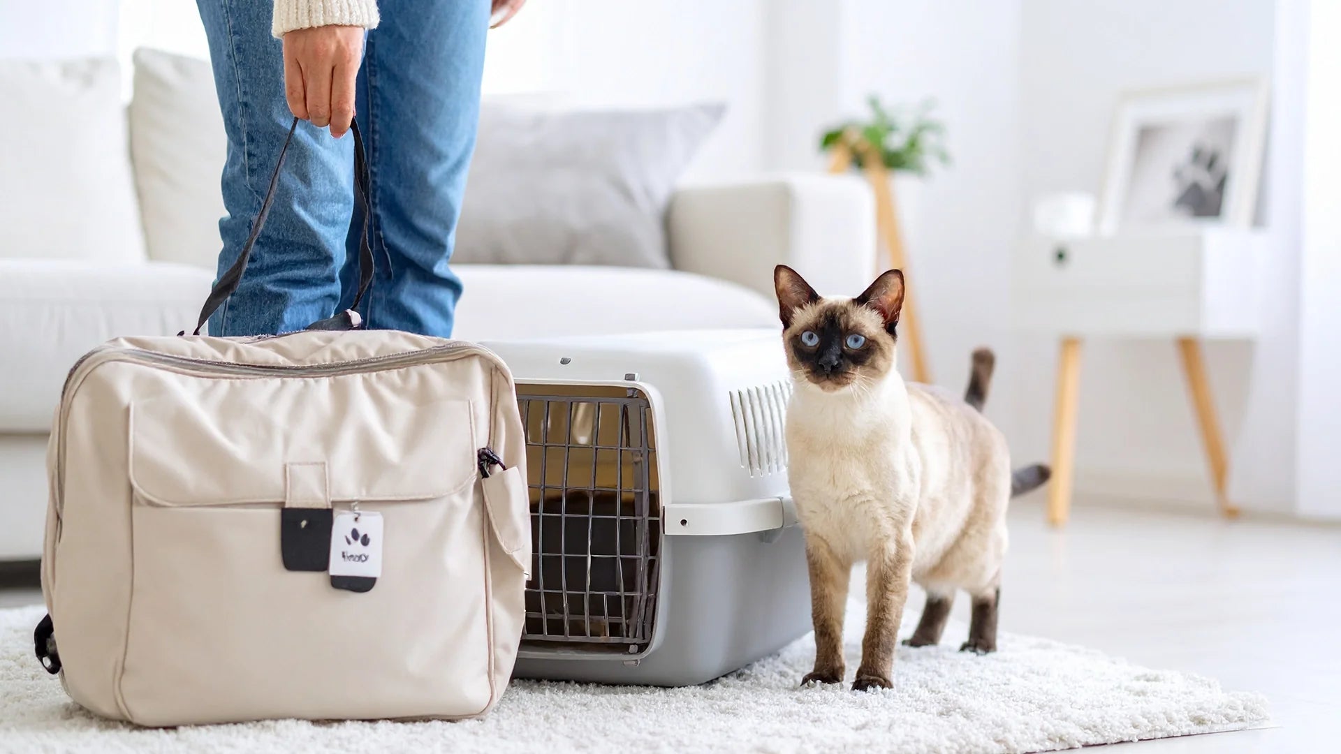 Alles voor kattenbaasjes – handige tools, cadeaus en verzorgingsartikelen – Kattenhoek