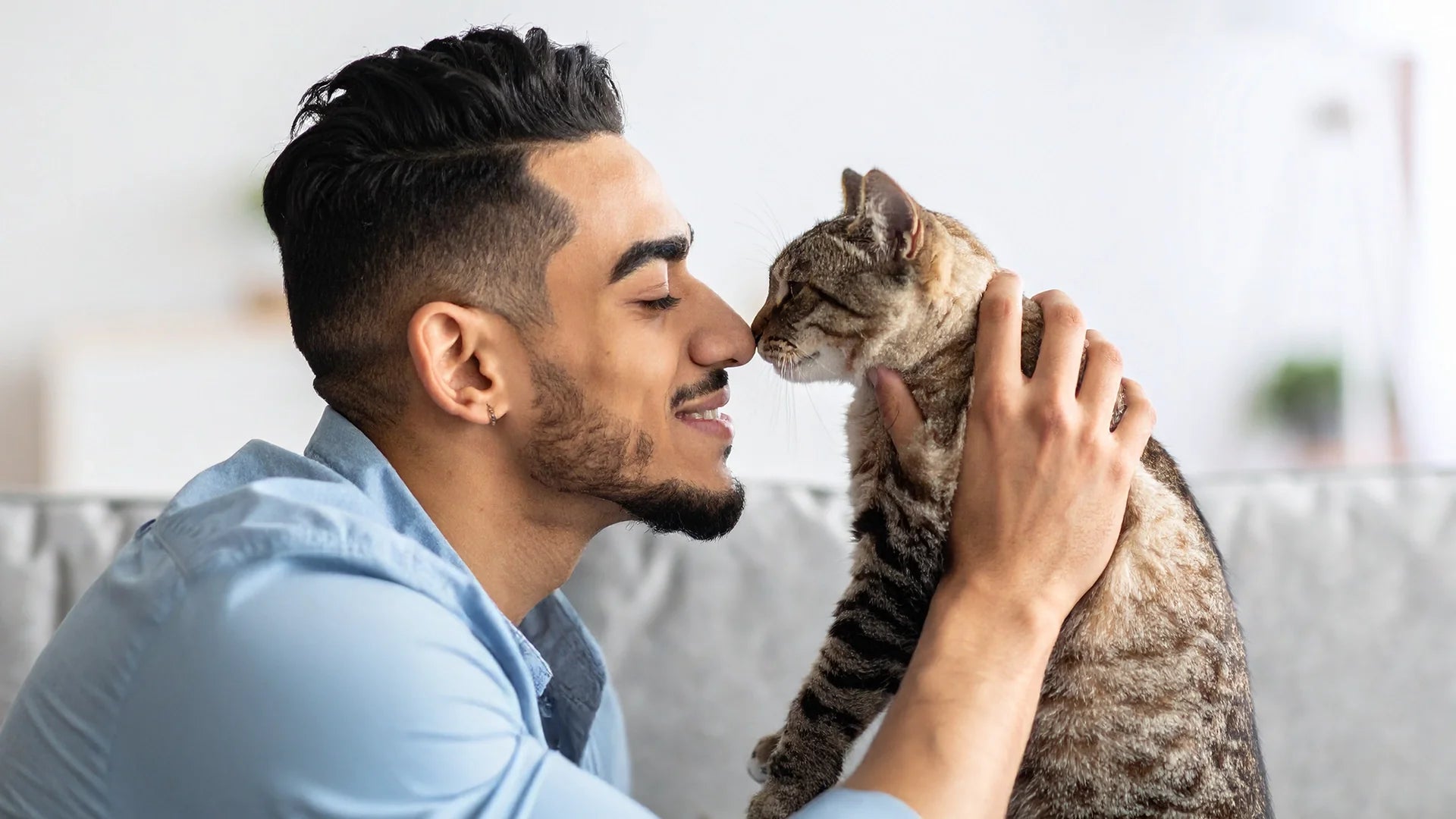 Beleving tussen kat en baasje – interactieve tools en speelmomenten – Kattenhoek