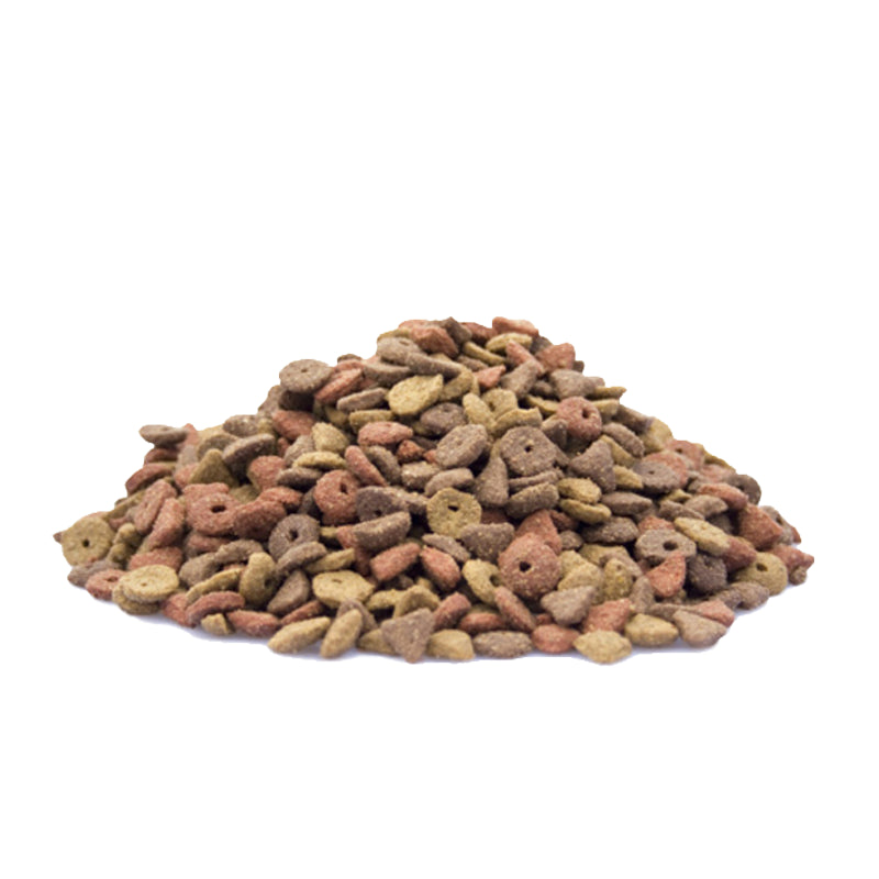 Kattenbrokjes met vis, granen en oliën – uitgebalanceerde voeding van Kattenhoek