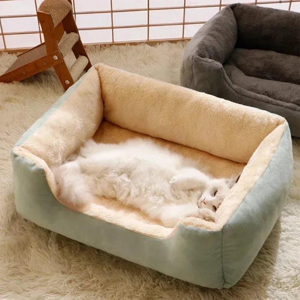 Zijdeachtig textuur detail Comfortabel Kattenbed – Kattenhoek

Comfortabel Kattenbed in verschillende maten – Kattenhoek