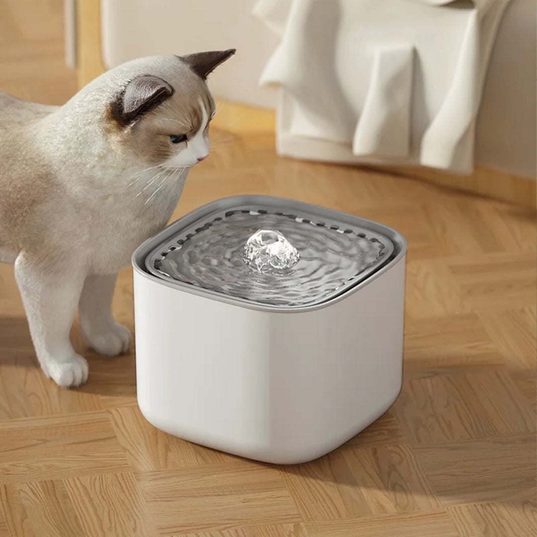 WHISKK Waterfontein 3L wit – stille USB-oplaadbare katten drinkfontein met filter