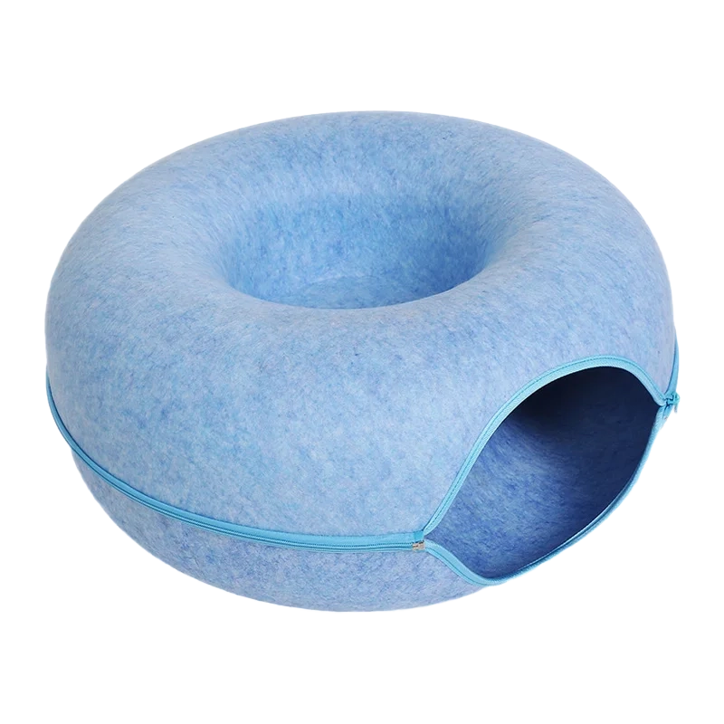 Kitten liggend in blauw donut krabbed