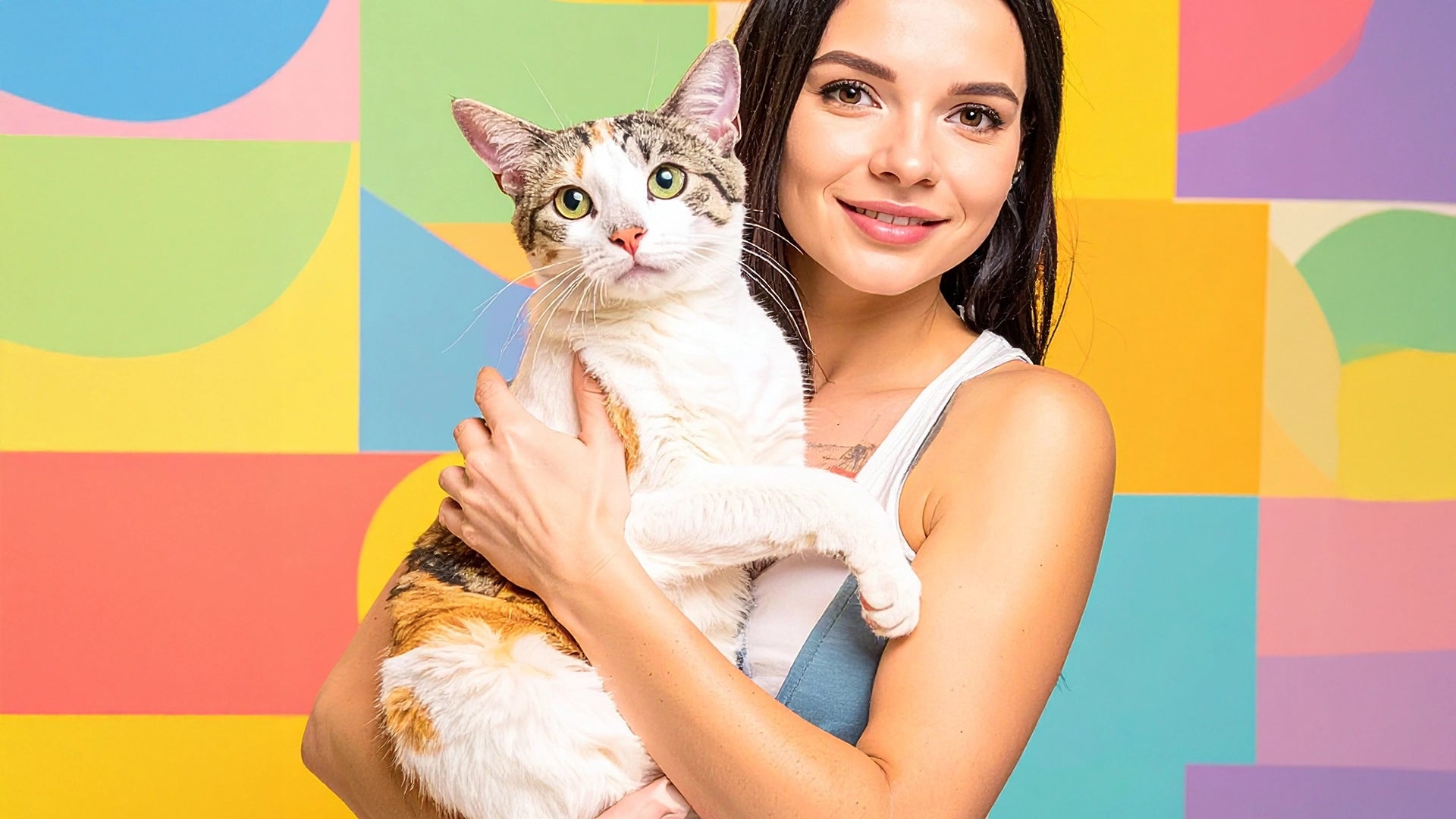 Ontdek stijlvolle kattenproducten en accessoires voor moderne kattenliefhebbers – Kattenhoek kwaliteit