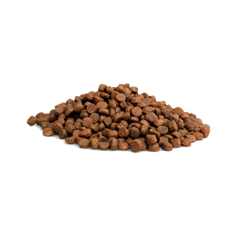 Graanvrije Premium Cat Sensitive brokjes voor volwassen katten met een gevoelige spijsvertering – Kattenhoek kwaliteit