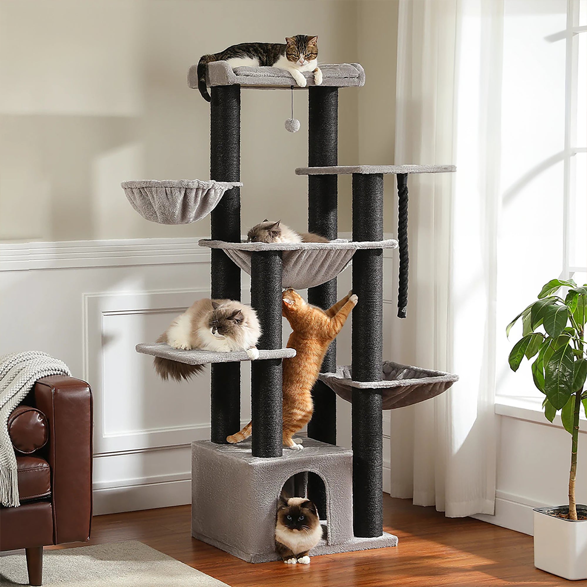 WHISKK Kattentoren van 169 cm – grote speelstructuur voor katten