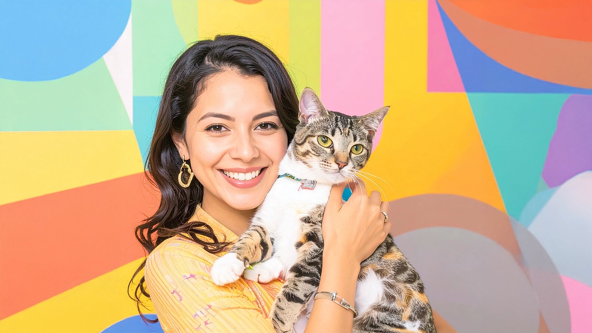 Speelse momenten en liefdevolle zorg voor katten – beleef het met Kattenhoek

