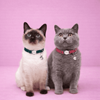 Collier personnalisé