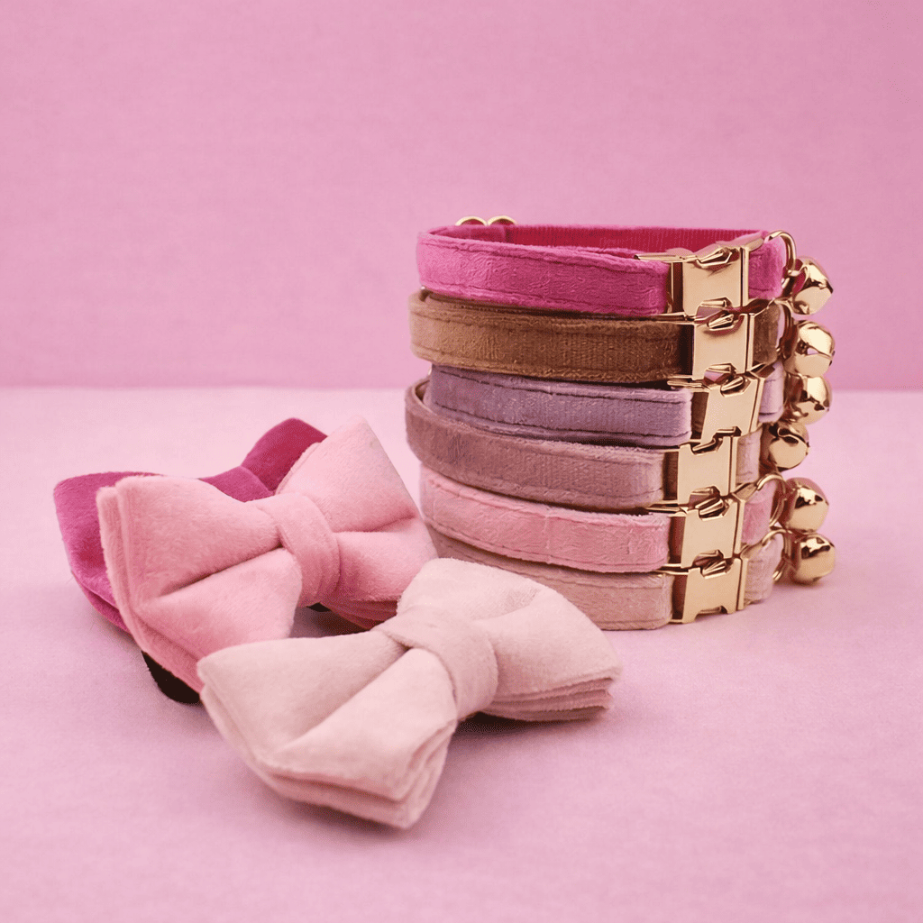 Gepersonaliseerde fluweelzachte halsband
