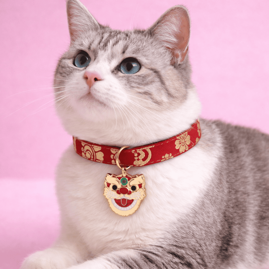 Realistische kat met rode Japanse kattenhalsband met gouden patroon en gelukskat hanger op zachte roze studioachtergrond van Kattenhoek