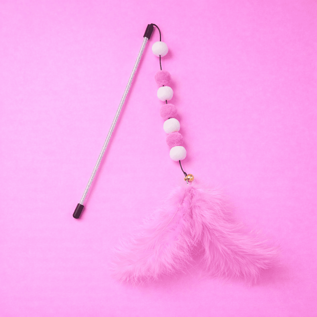 Jouets pour chats en plumes