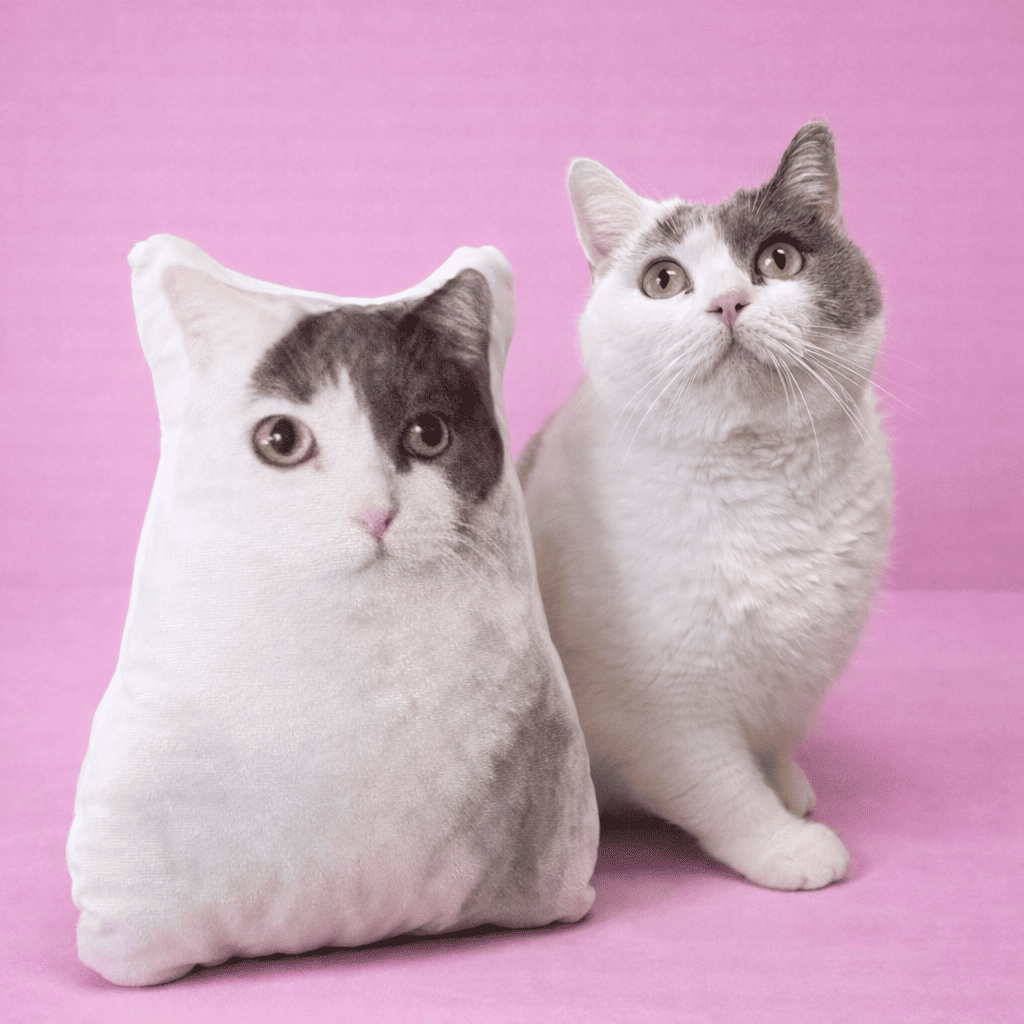 WHISKK™ Gepersonaliseerde Kattenkussen