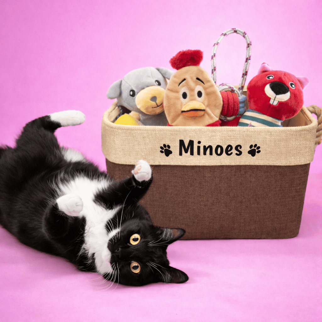 WHISKK™ Gepersonaliseerde Speelgoed Box