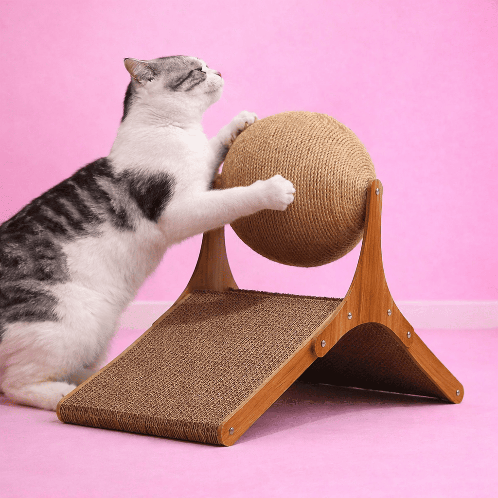 Balle à gratter WHISKK™