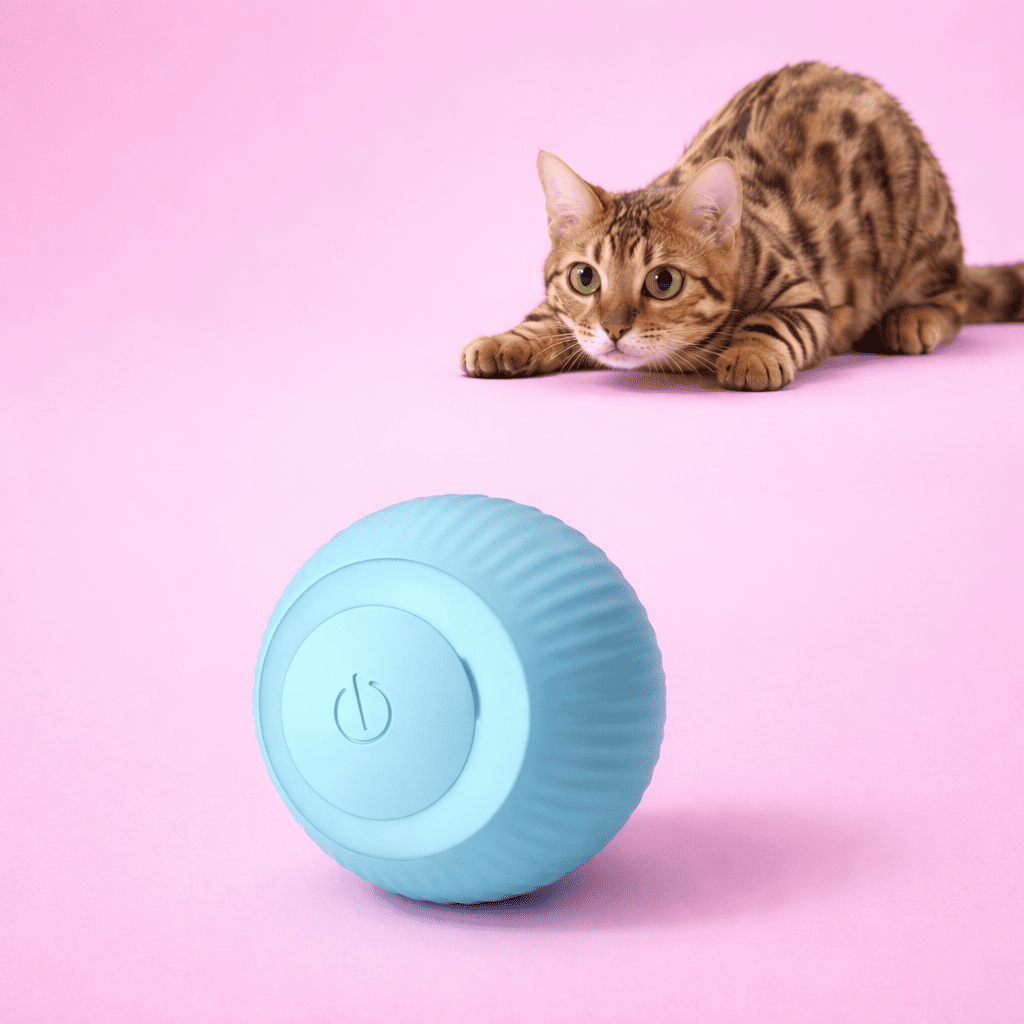 WHISKK™ Rollaway Ball 2.0