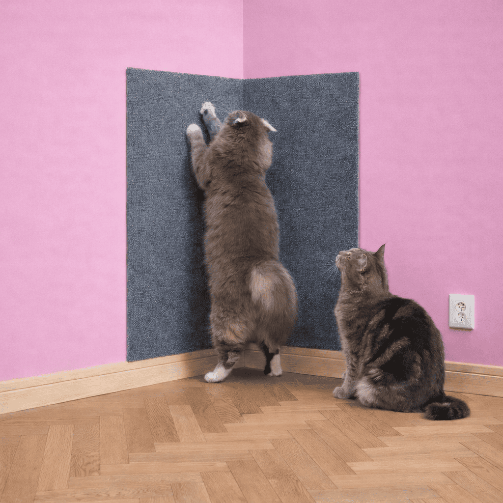 Tapis griffoir autocollant pour chats