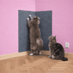Tapis griffoir autocollant pour chats