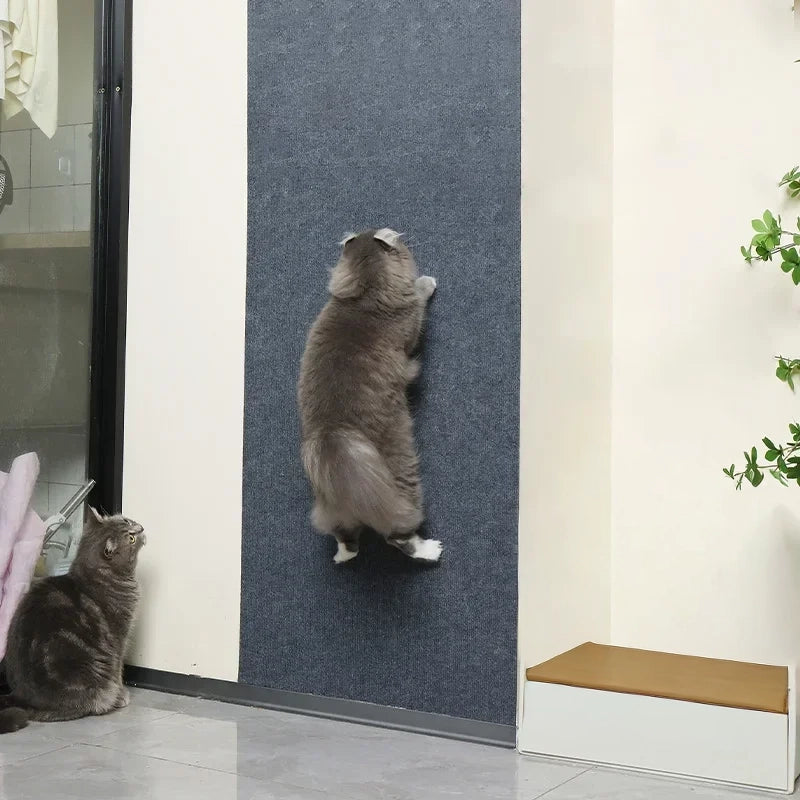 Katten krabmat zelfklevend tegen krassen op meubels - Kattenhoek 