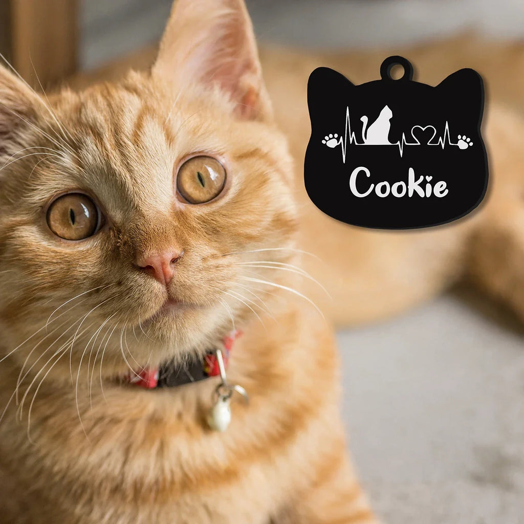 WHISKK gepersonaliseerd RVS katten naamplaatje met gravure – Kattenhoek