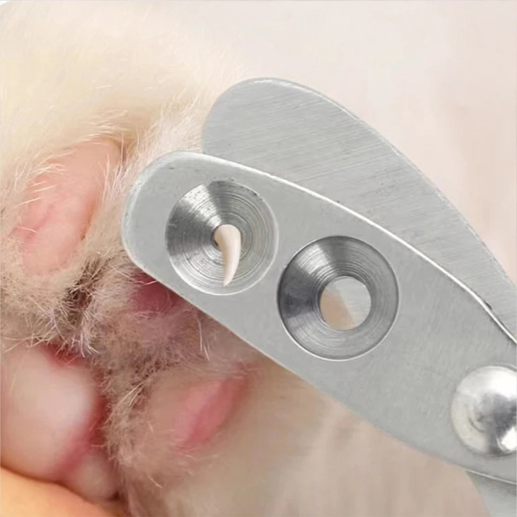 Oranje Pet Pedicure Nagelknipper voor kleine honden – Kattenhoek