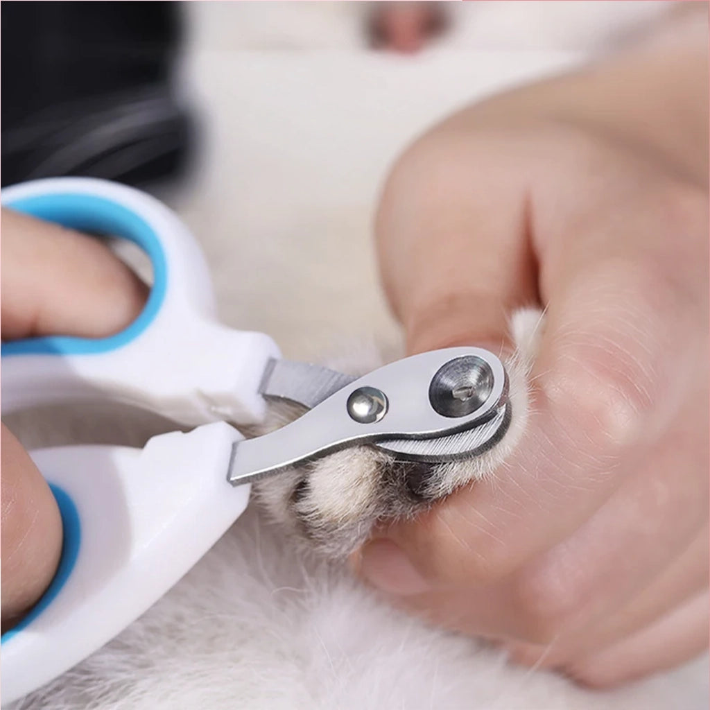 Rood nageltrimmer voor kat en puppy – Kattenhoek
