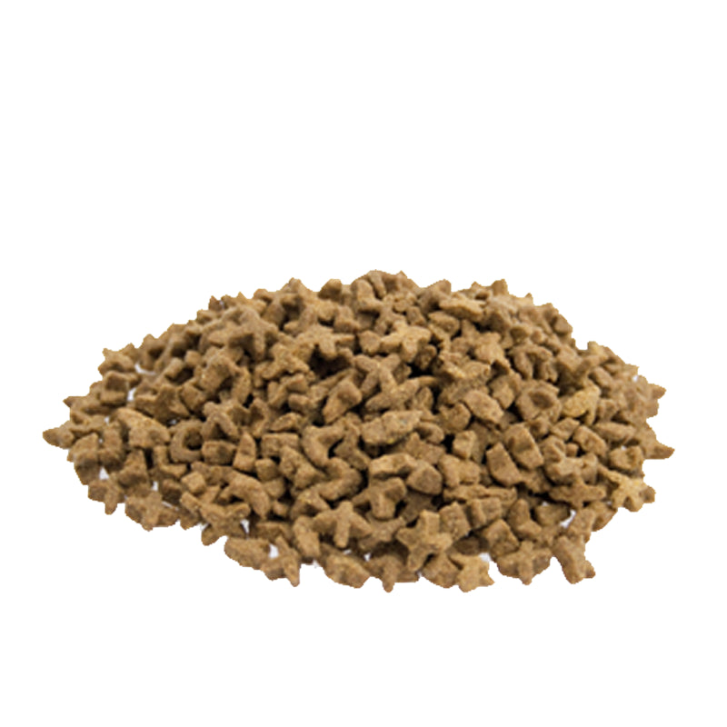 Gevoelige kattenvoeding met bruine rijst en prebiotica – Premium Cat Sensitive van Kattenhoek