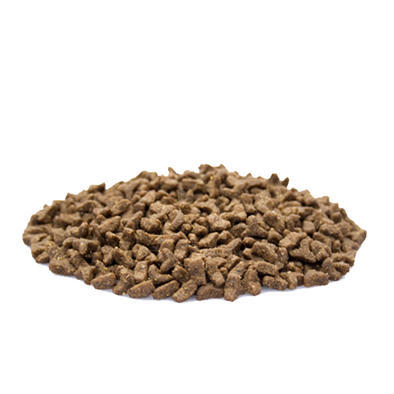 Zak kattenvoeding met kip, vis en zalmolie – uitgebalanceerde maaltijd van Kattenhoek