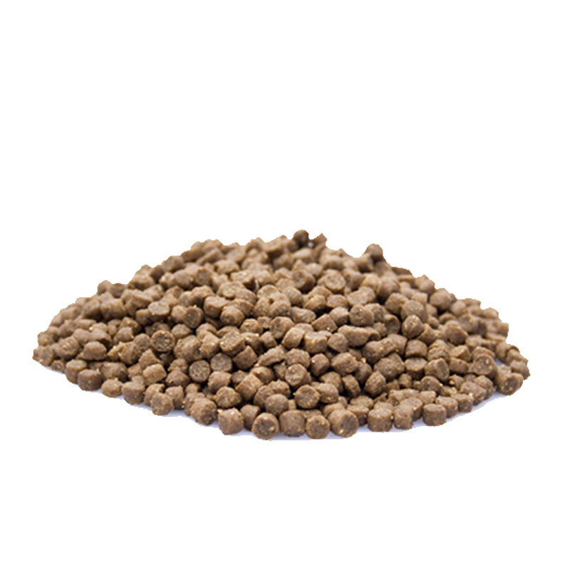 Premium Kitten droogvoer – uitgebalanceerde voeding met zalmolie, ideaal voor groeiende kittens

