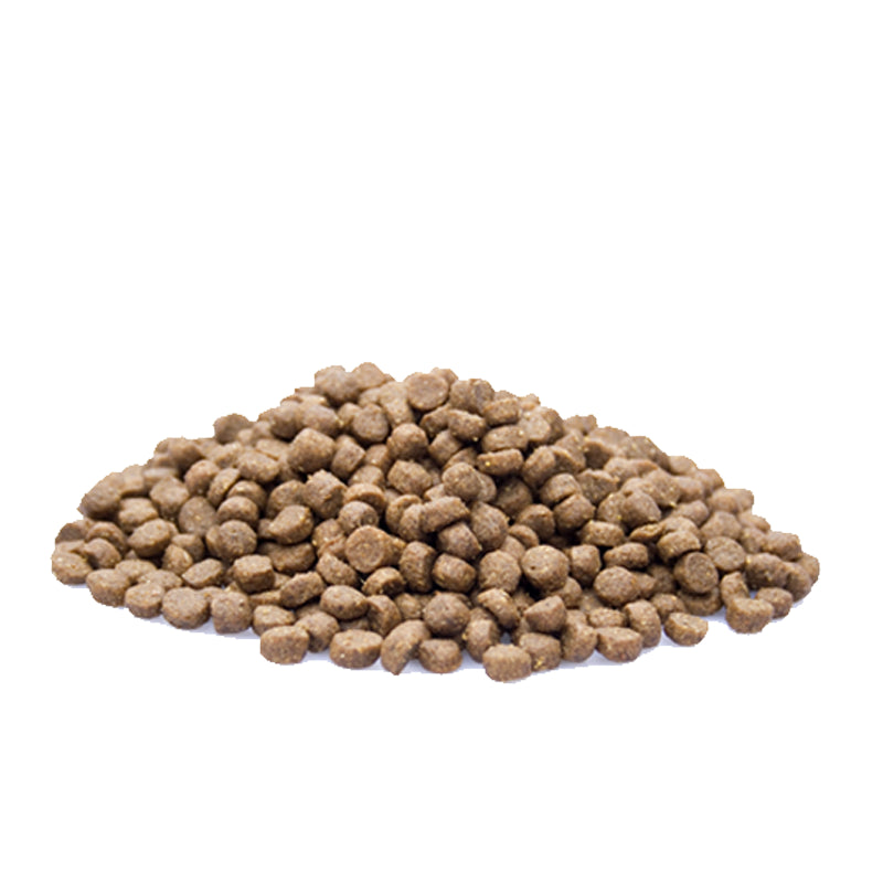 Zak kattenvoeding voor senior katten vanaf 7 jaar – Premium Cat Senior bij Kattenhoek

