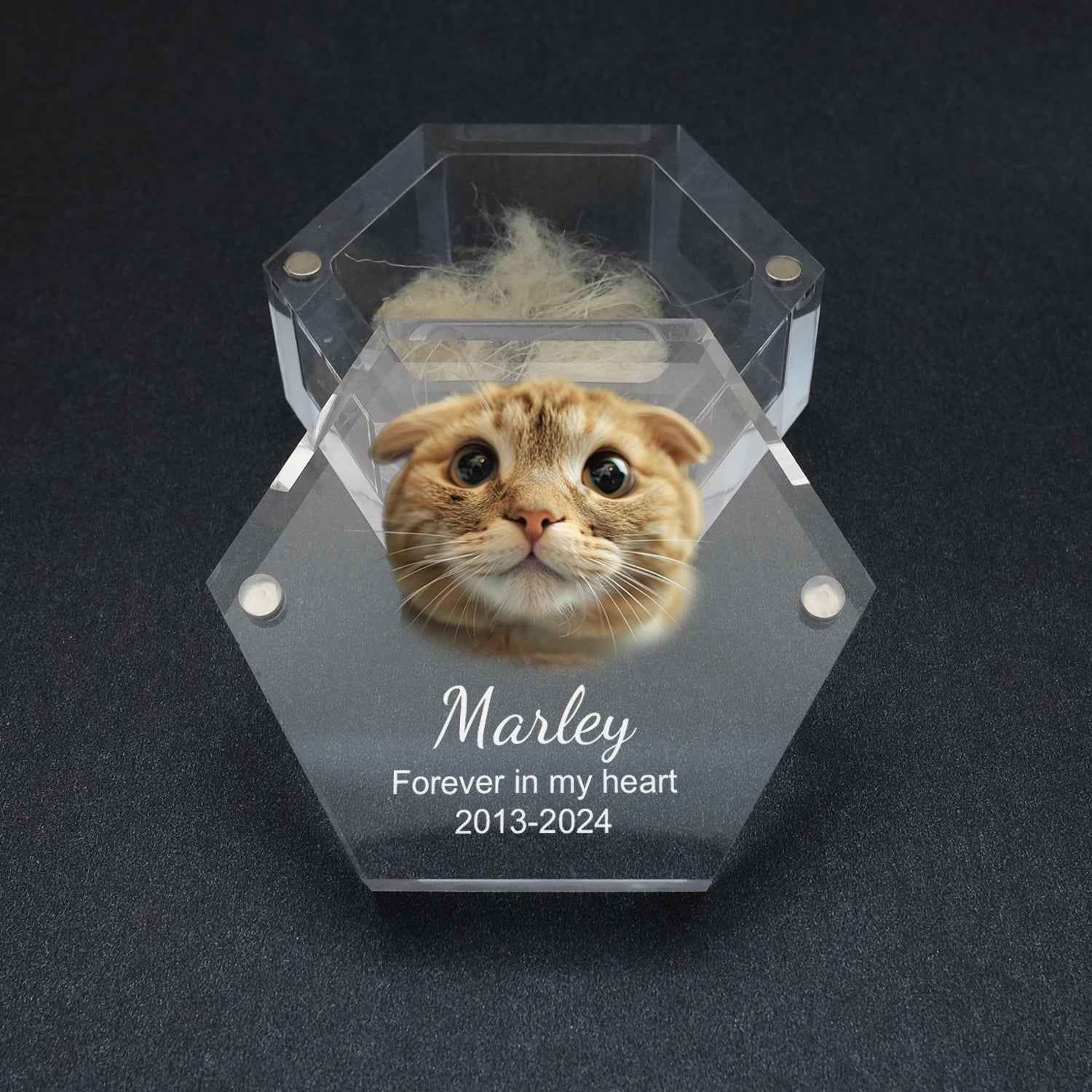 Uniek herinneringsdoosje voor huisdieren met foto – WHISKK™ cadeau voor dierenliefhebbers