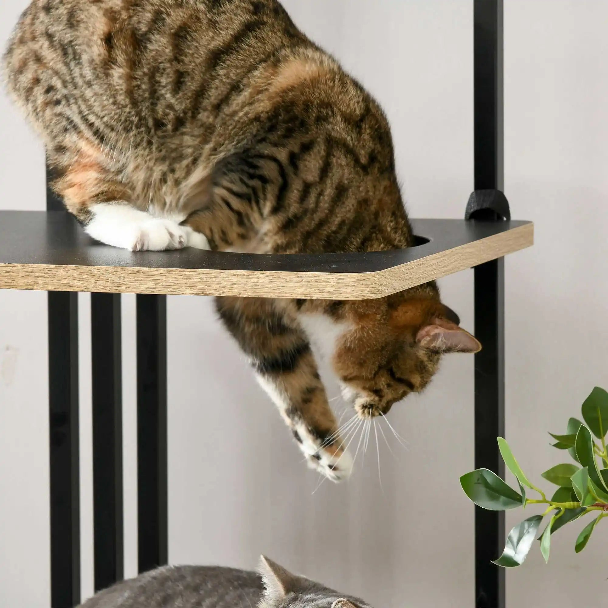 Sisal krabpaal met zachte kussens voor katten – Kattenhoek

I