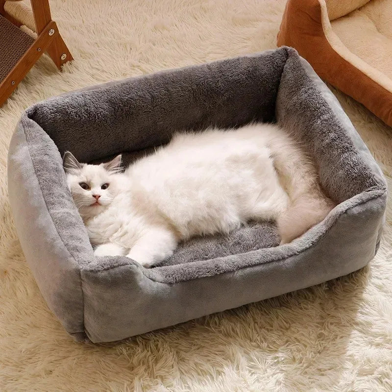 Kat slaapt in zacht grijs pluche bed – Kattenhoek