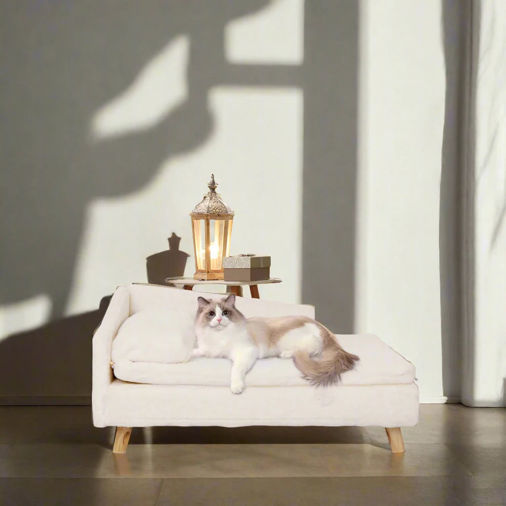 WHISKK™ Premium Kattenbed met verhoogd design en luxe uitstraling – Kattenhoek

