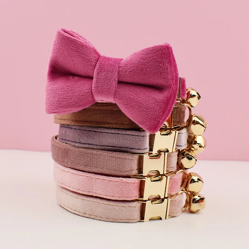 Fluwelen kattenhalsband met naamplaatje en bel – Kattenhoek
