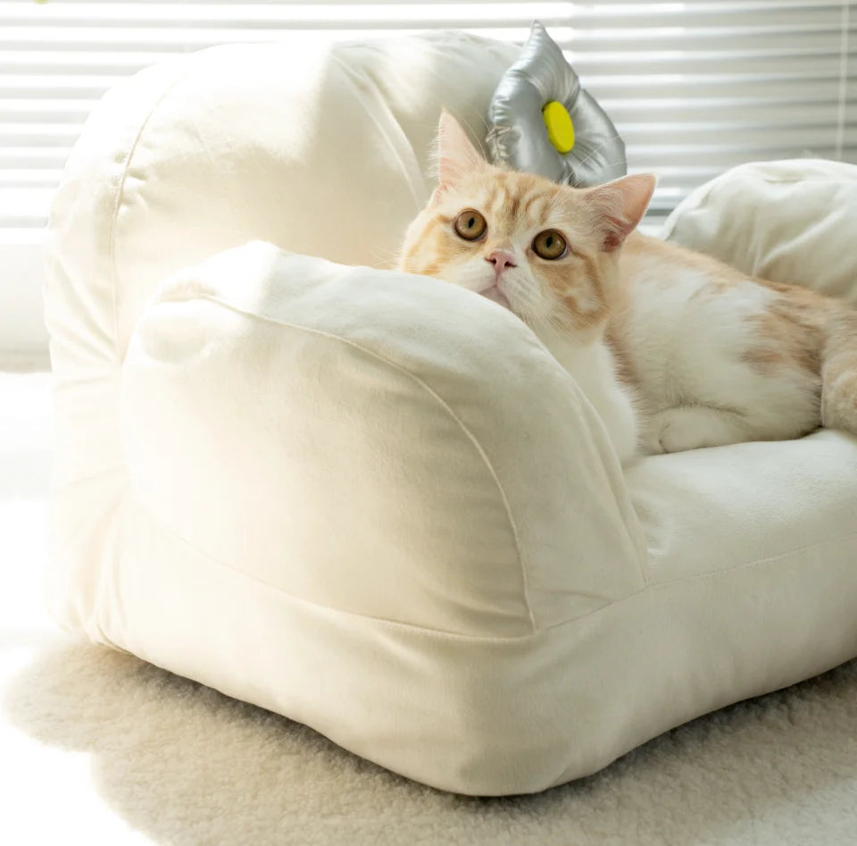 Moderne kattenmand in woonkamer – WHISKK Luxe Kattenzetel