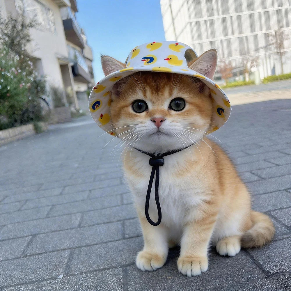 Schattige kattenhoed voor zonnige dagen – comfortabel en lichtgewicht