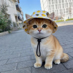 Schattige kattenhoed voor zonnige dagen – comfortabel en lichtgewicht