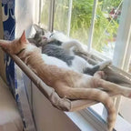 Hangmat voor katten raamzitje met zuignappen - Kattenhoek  
Katten raamhangmat Oxford stof ademend materiaal - Kattenhoek  
