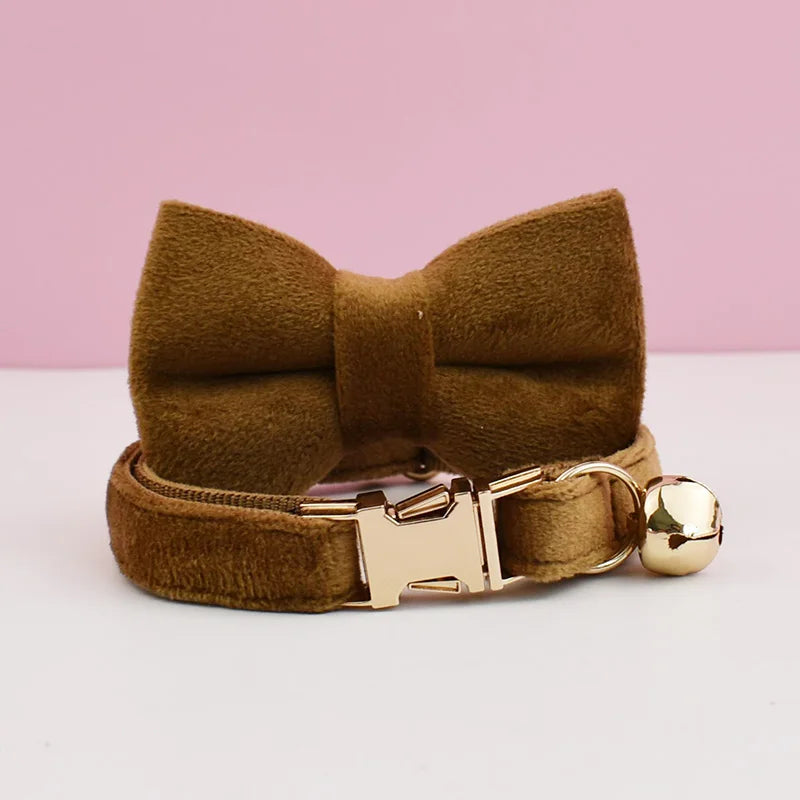 Kattenaccessoire halsband met bel en naamplaatje – Kattenhoek