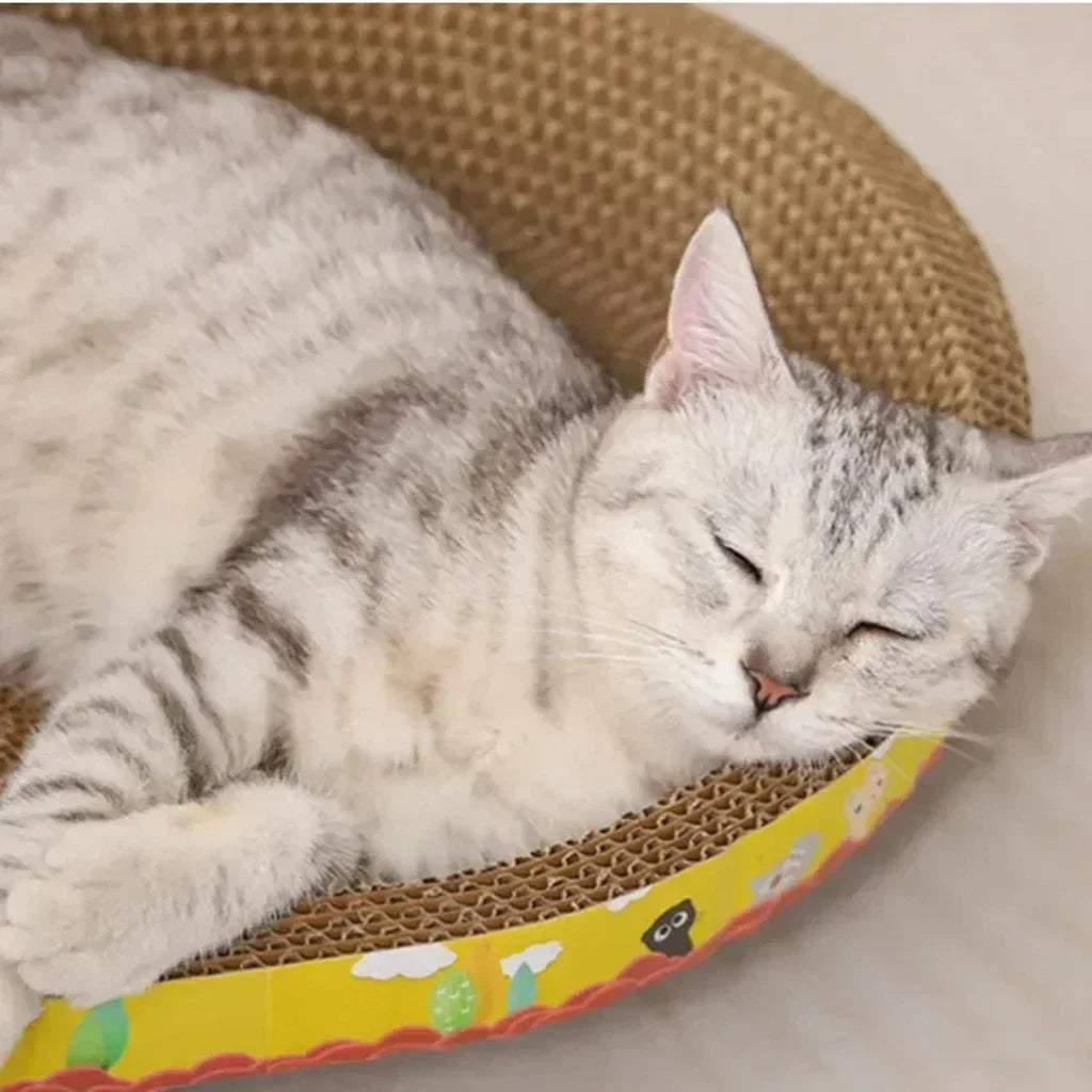 Kat ligt in ovale krabplank van golfkarton – Kattenhoek