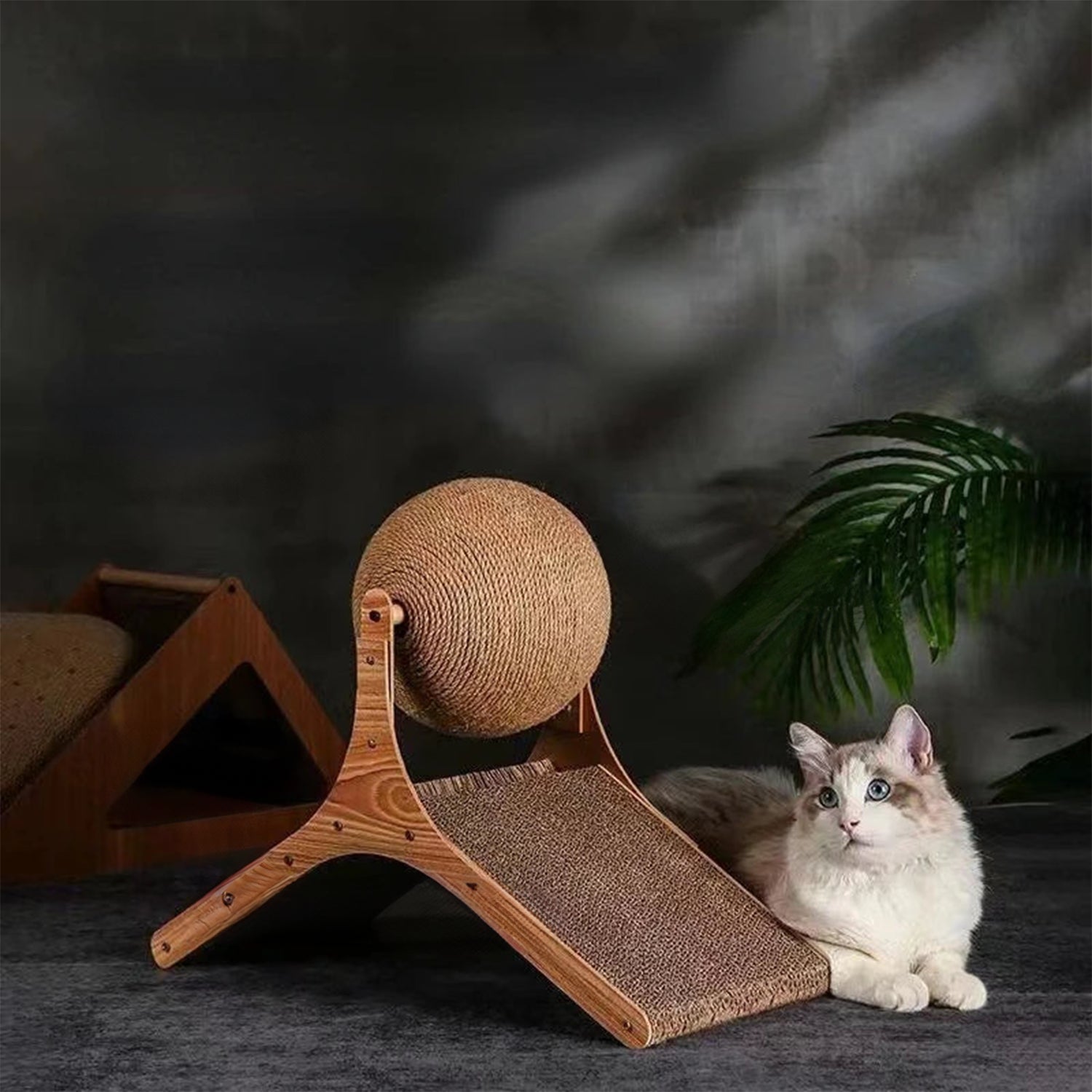 Stijlvol kattenspeelgoed dat meubels beschermt – WHISKK™ bij Kattenhoek