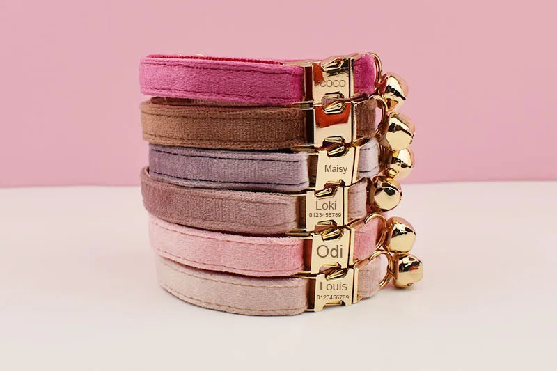 erstelbare fluwelen kattenhalsband maat S of L – Kattenhoek

Kattenhalsband met zachte fluwelen stof en veiligheidssluiting – Kattenhoek

Stijlvolle kattenhalsband met naamgravure en belletje – Kattenhoek

Premium kattenhalsband in fluweel, perfect cadeau – Kattenhoek

Kattenaccessoire halsband met bel en naamplaatje – Kattenhoek

Verstelbare f