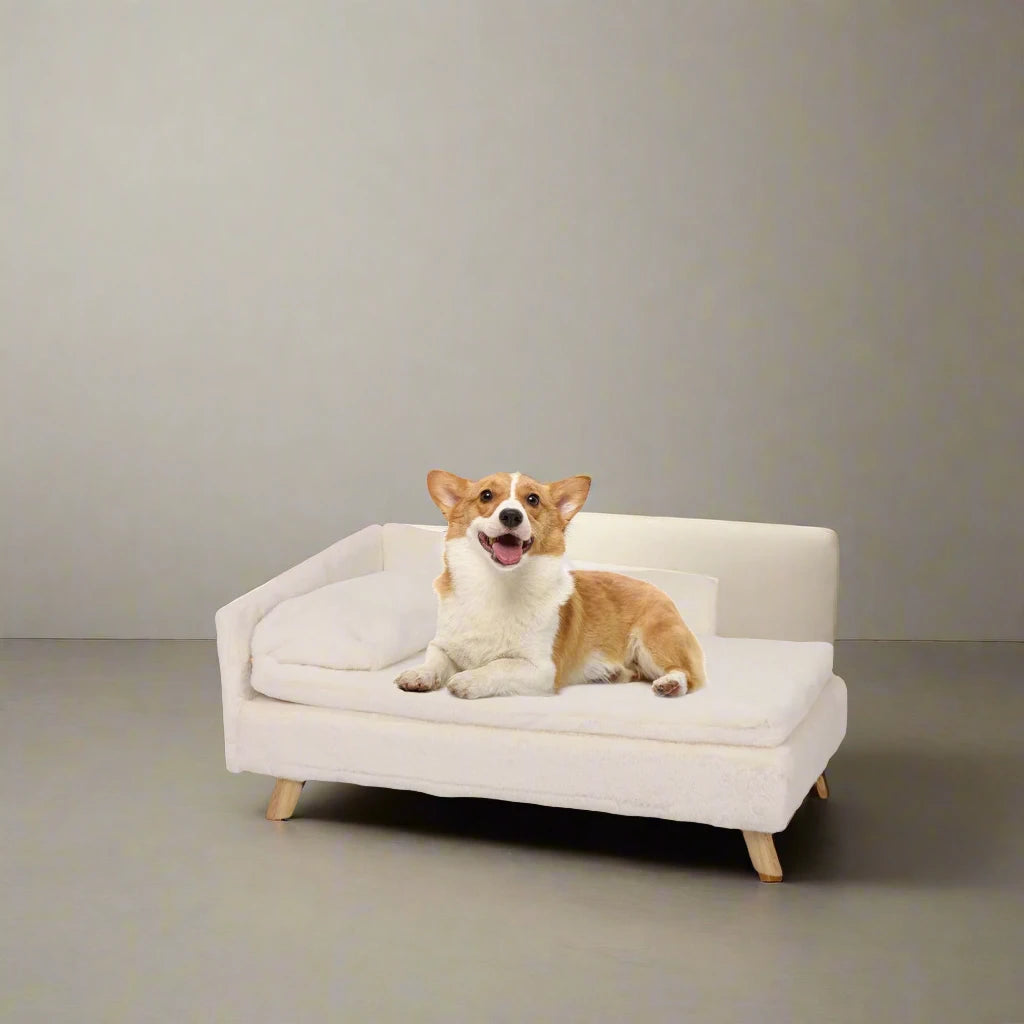 Kat rustend op WHISKK kattenbed met pluche kussen en houten poten

