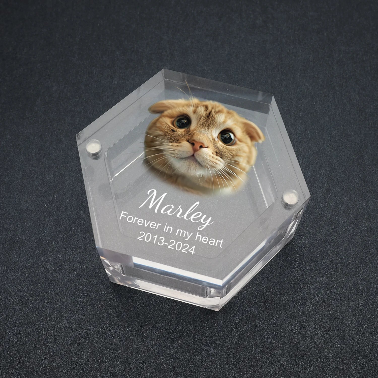 Aandenkendoosje met foto en naam – WHISKK™ huisdier memorial box