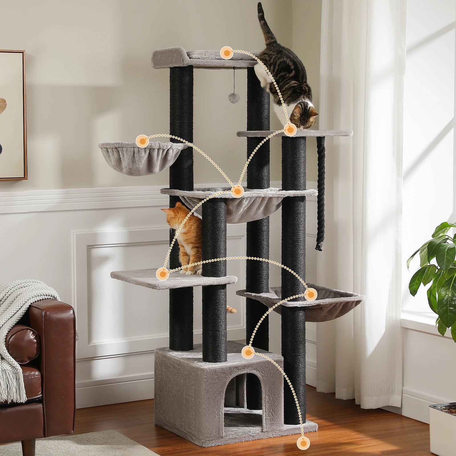 Kat speelt op WHISKK kattentoren – meerdere niveaus en hangmatten