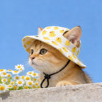 Zomerpet voor kat met verstelbare pasvorm en ademende stof