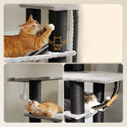 Drie katten gebruiken de WHISKK kattentoren tegelijk – geschikt voor meerdere katten