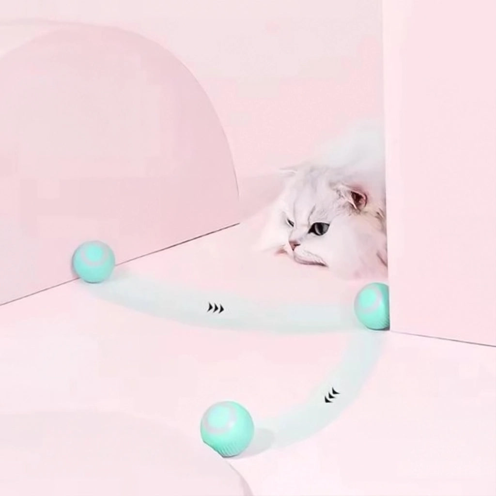 Kat speelt met WHISKK™ Rollaway Ball 2.0 USB-C oplaadbaar speelgoed – Kattenhoek